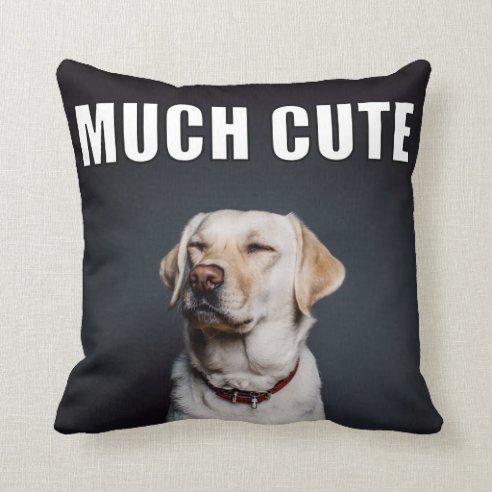 Stylish Home: Personalized Cushions Reflecting Your Pet's Personality