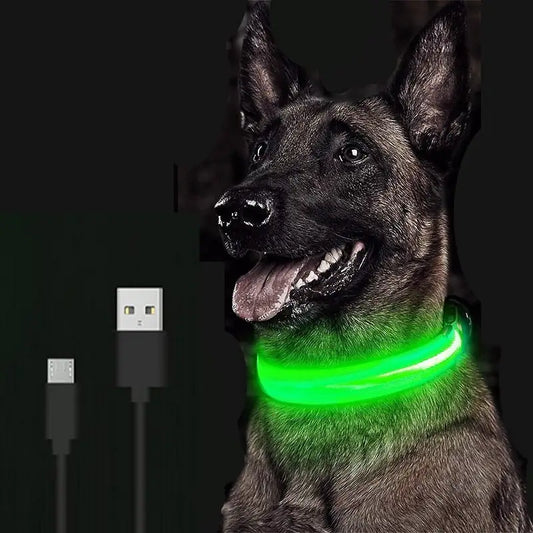 Radiant Paws LED Dog Collar