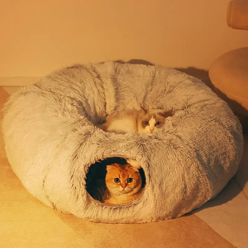 Cat Beds House and Toy