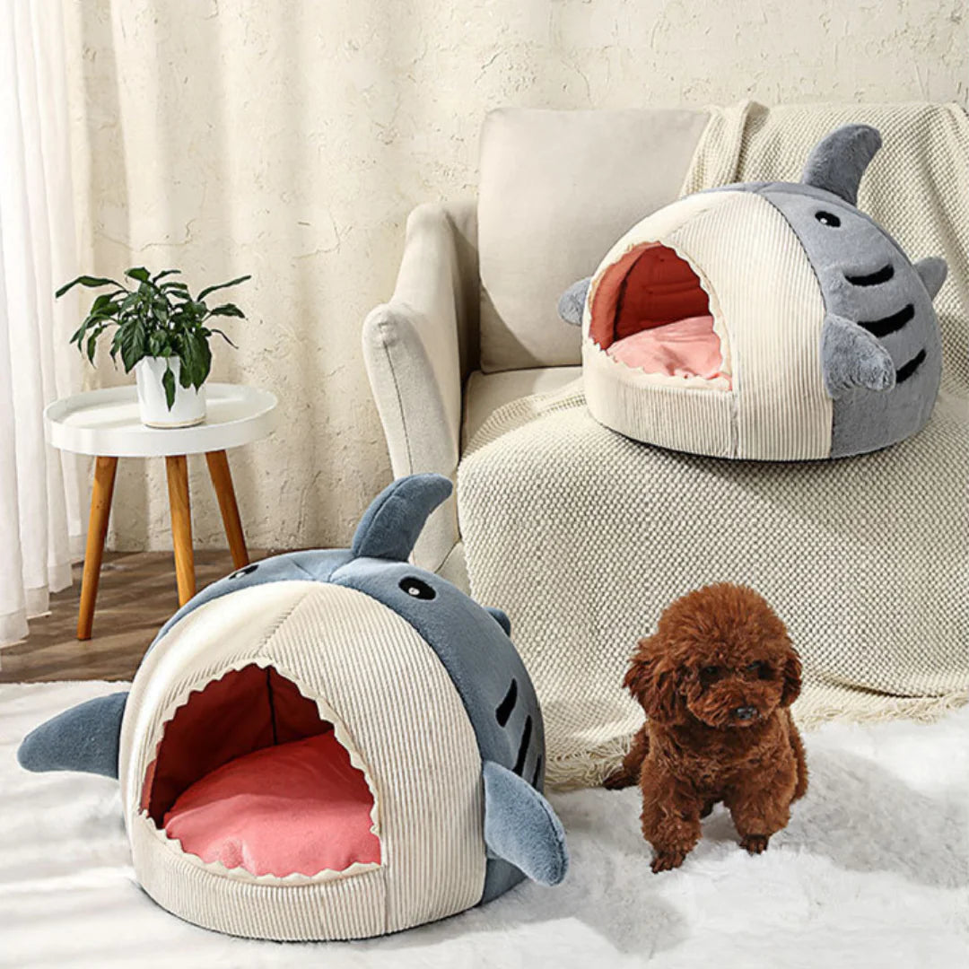 Dive into Comfort! Shark-Shaped Pet Bed: The Cozy Retreat Your Pet Craves