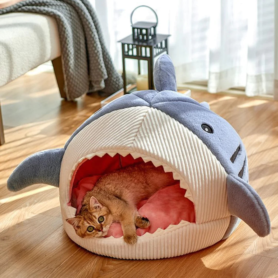 Dive into Comfort! Shark-Shaped Pet Bed: The Cozy Retreat Your Pet Craves